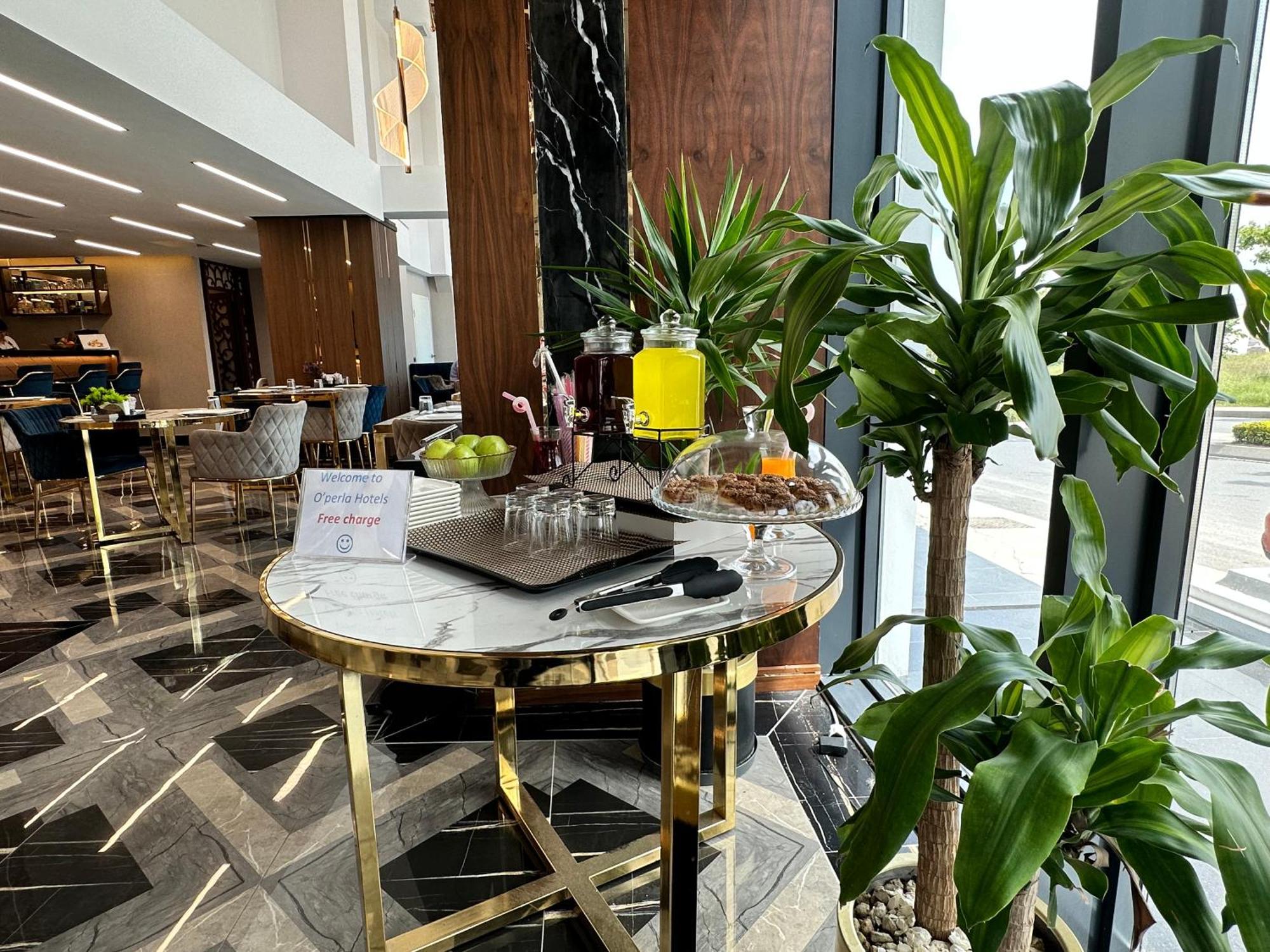 Trademark Collection By Wyndham Operla Airport Hotels Arnavutkoy Ngoại thất bức ảnh